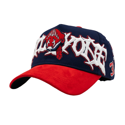 31 World Series (Full set)