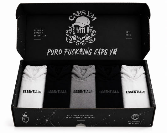 Lote de 5 Hoodies Essentials